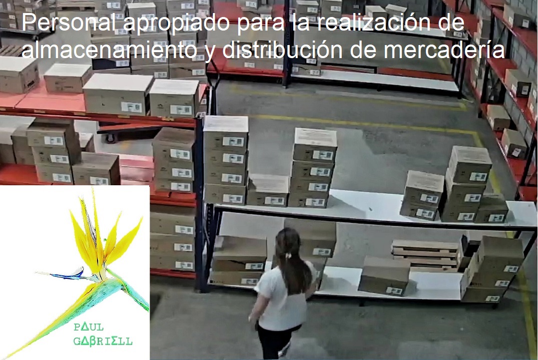 Personal apropiado para la realización de almacenamiento y distribución de mercadería
